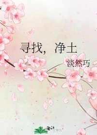 寻找，净土